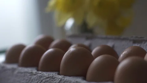 Egg Carton 01 Stock Footage 127146534