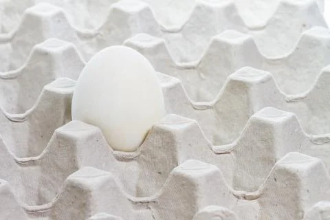 Egg in carton box Stock Photos
