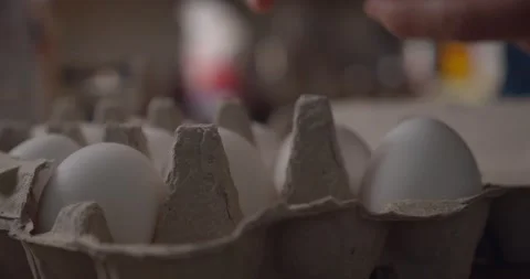 Egg carton hand 스톡 동영상 147297522