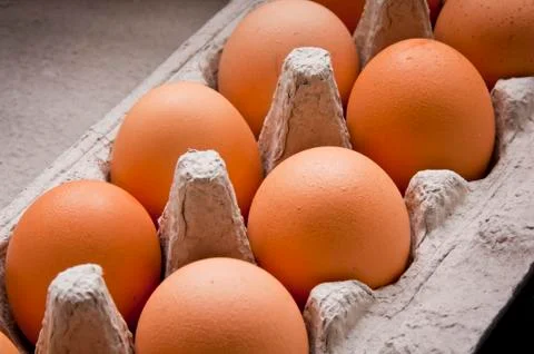 Egg carton Stock Photos