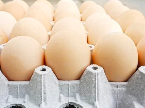Egg carton Stock Photos