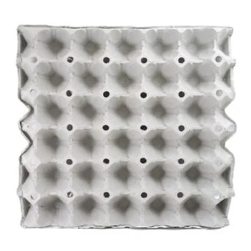 Egg carton Foto stock