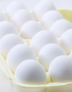 Egg Carton Stock Photos