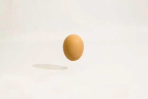 An egg casts a shadow in the air. The egg is on a white background. Stock Photos