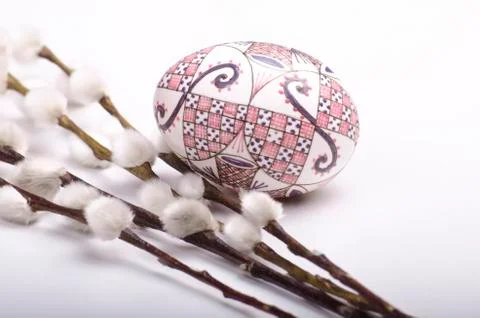 Egg with catkins Stock Photos