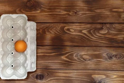 Egg in a cell top view Stock Photos