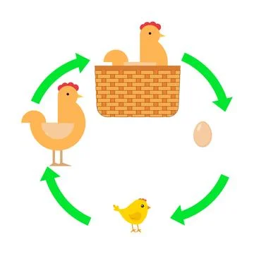 Egg, chick, chicken. The hen took the egg Stock Illustration