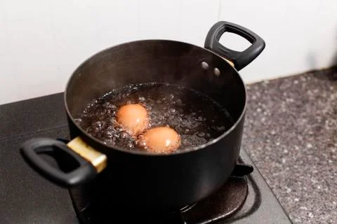 Egg, Chicken Egg 스톡 사진