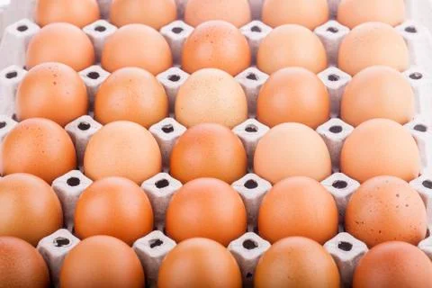 Egg, Chicken Egg Stock Photos