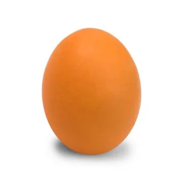 Egg chicken isolated on white background Stock Photos
