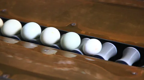 Egg clean and packing in the workshop Stock Footage 36243327