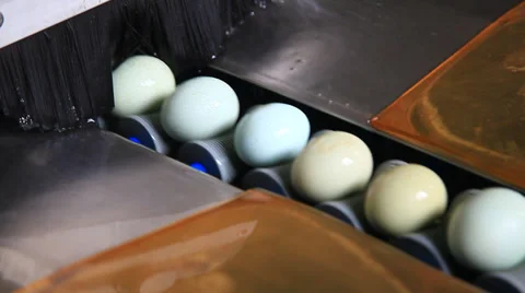 Egg clean and packing in the workshop Stock Footage 36243370