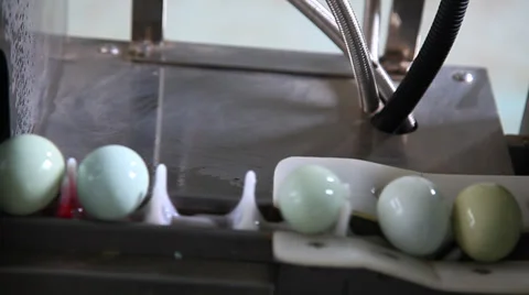 Egg clean and packing in the workshop Stock Footage 36243451