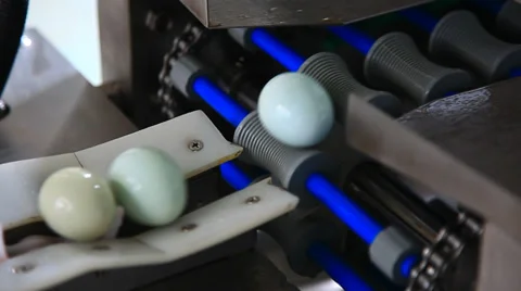 Egg clean and packing in the workshop Stock Footage 36243527