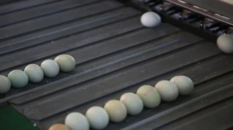 Egg clean and packing in the workshop Stock Footage 36243560