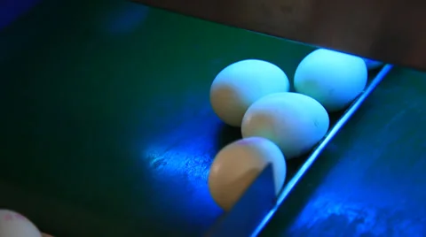 Egg clean and packing in the workshop Stock Footage 36243631