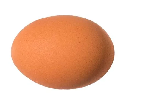 Egg close up on a white background Stock Photos