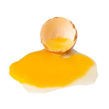 Egg closeup isolated on white background Stock Photos