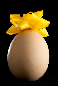 Egg with Cockade Stock Photos