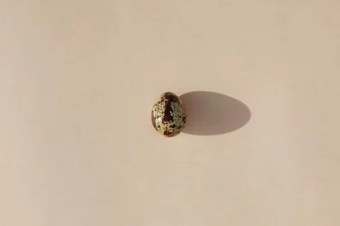 Egg on a colored background food pattern top view Stock-Fotos