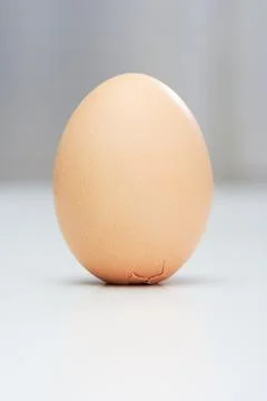 Egg of columbus Stock Photos