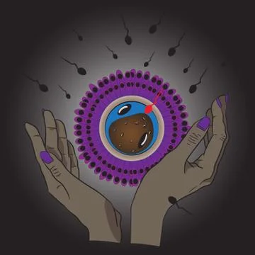 Egg conception Stock Illustration