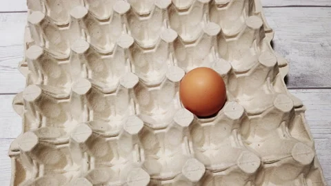 Egg in the container for a business concept Stock Footage 227597299