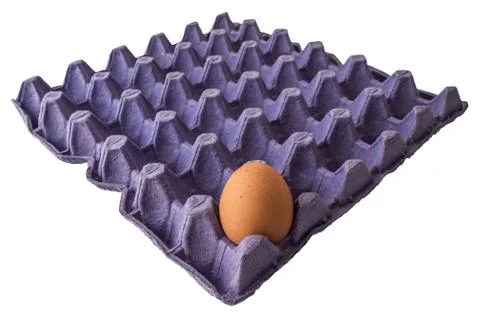 Egg in container panel Stock Photos