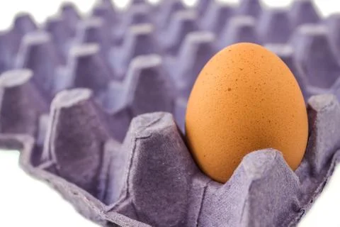 Egg in container panel Stock Photos