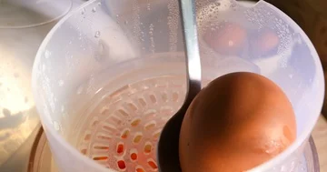 Egg cooking in kitchenware Stock Footage 86002975