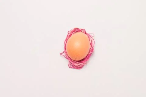 An egg in cotton nest Stock Photos