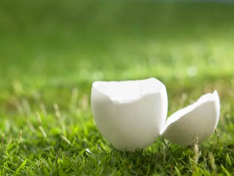 Egg cracked Stock Photos