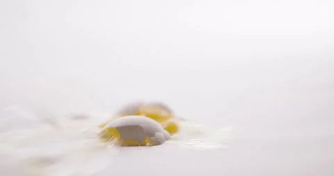 Egg cracking on the ground. Stock Footage 131568508