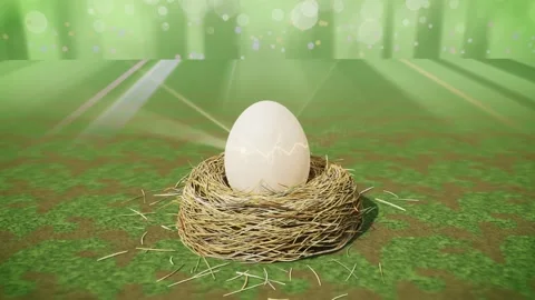 Egg Cracking Open Spilling Golden Light And Spring Petals 스톡 동영상 347126564
