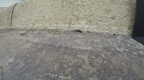 Egg Crash on curb slow mo 10%.mp4 Stock Footage 35871003