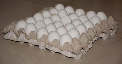 Egg crate Foto stock