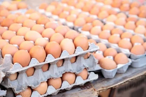 Egg Crates of brown and white eggs at a local farmers market Stock Photos