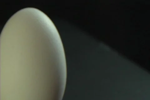 Egg - CU1 Video stock 92311