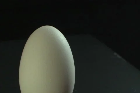 Egg - CU2 Video stock 92309