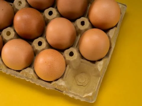 Egg cup full of eggs on a yellow background Stock Photos