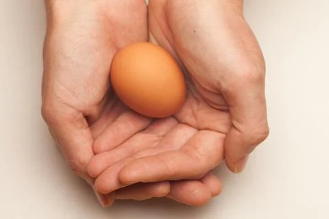 Egg cupped in hands Stock Photos