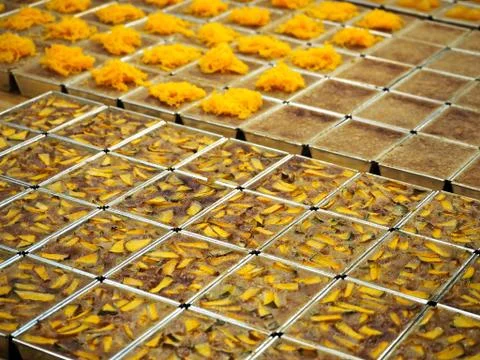 Egg Custard Cake with Assorted Toppings Stock Photos