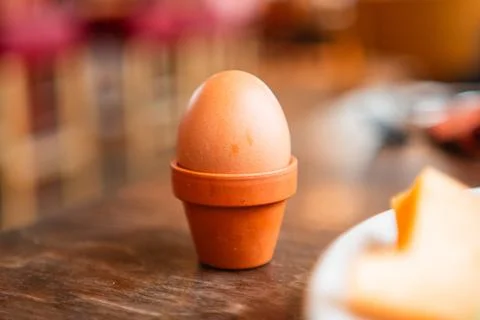 Egg with a Dark Egg Shell in a Small Flower Pot Egg Cup Stock Photos