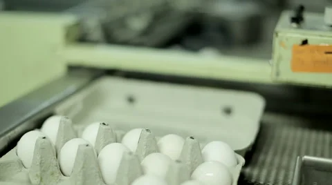 Egg delivery Stock Footage 57769109