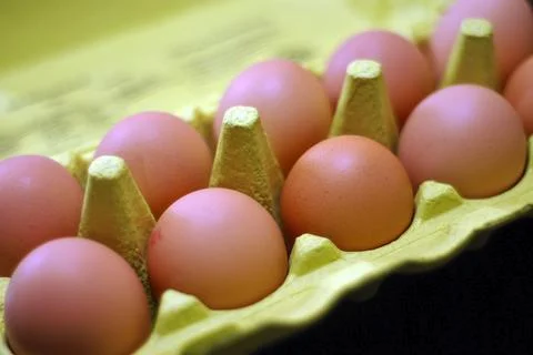 Egg dozen Stock Photos