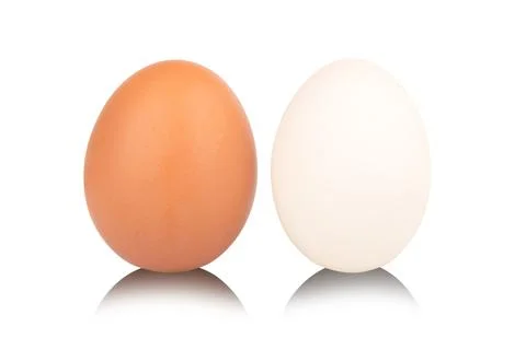 Egg duck isolated on white background Stock Photos