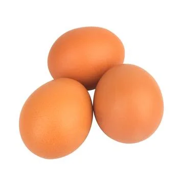 Egg duck isolated on white background Stock Photos