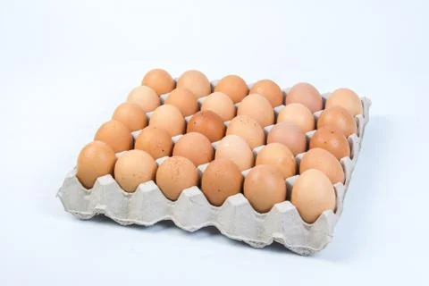 Egg in an egg crate on white background Stock Photos