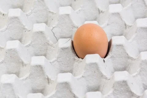 Egg in an egg crate on white background Foto stock