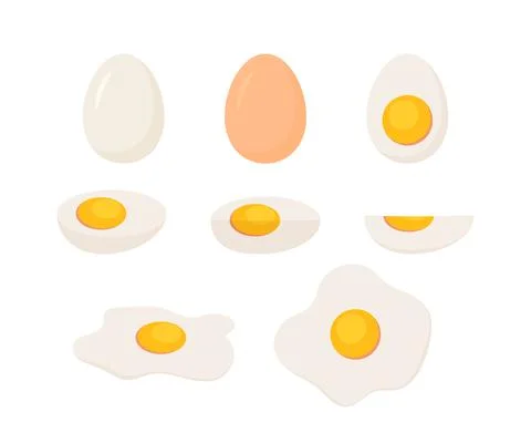 Egg in eggshell, pieces boiled and fries. Whole and half, sliced eggs. Vector Stock Illustration
